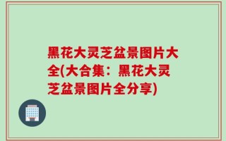 黑花大灵芝盆景图片大全(大合集：黑花大灵芝盆景图片全分享)