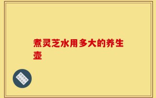 煮灵芝水用多大的养生壶