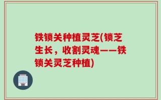 铁锁关种植灵芝(锁芝生长，收割灵魂——铁锁关灵芝种植)