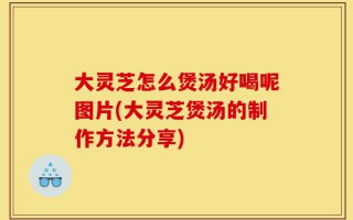大灵芝怎么煲汤好喝呢图片(大灵芝煲汤的制作方法分享)