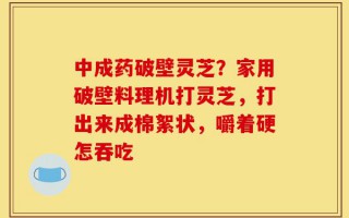 中成药破壁灵芝？家用破壁料理机打灵芝，打出来成棉絮状，嚼着硬怎吞吃