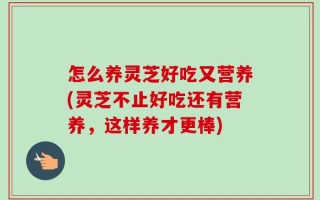 怎么养灵芝好吃又营养(灵芝不止好吃还有营养，这样养才更棒)