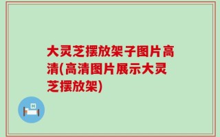 大灵芝摆放架子图片高清(高清图片展示大灵芝摆放架)