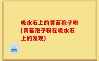 吸水石上的青苔孢子粉(青苔孢子粉在吸水石上的发现)