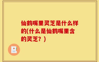 仙鹤嘴里灵芝是什么样的(什么是仙鹤嘴里含的灵芝？)