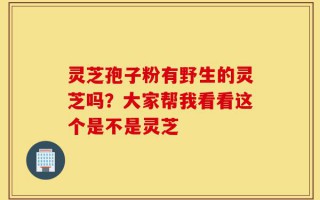 灵芝孢子粉有野生的灵芝吗？大家帮我看看这个是不是灵芝