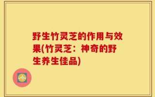 野生竹灵芝的作用与效果(竹灵芝：神奇的野生养生佳品)