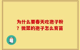 为什么要春天吃孢子粉？微菜的孢子怎么育苗