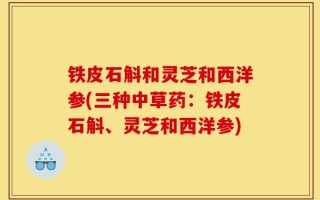 铁皮石斛和灵芝和西洋参(三种中草药：铁皮石斛、灵芝和西洋参)