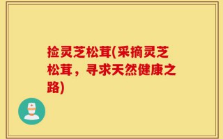 捡灵芝松茸(采摘灵芝松茸，寻求天然健康之路)