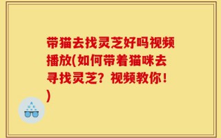 带猫去找灵芝好吗视频播放(如何带着猫咪去寻找灵芝？视频教你！)