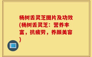 杨树舌灵芝图片及功效(杨树舌灵芝：营养丰富，抗疲劳，养颜美容)