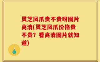 灵芝凤爪贵不贵呀图片高清(灵芝凤爪价格贵不贵？看高清图片就知道)