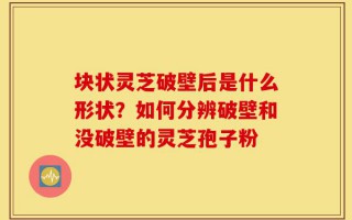 块状灵芝破壁后是什么形状？如何分辨破壁和没破壁的灵芝孢子粉