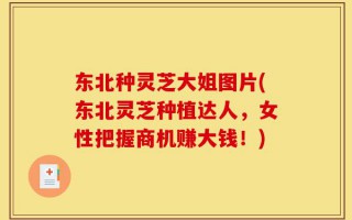 东北种灵芝大姐图片(东北灵芝种植达人，女性把握商机赚大钱！)