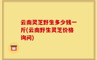 云南灵芝野生多少钱一斤(云南野生灵芝价格询问)