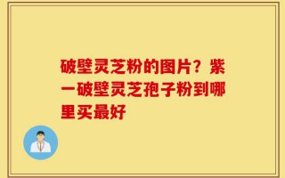 破壁灵芝粉的图片？紫一破壁灵芝孢子粉到哪里买最好
