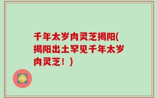 千年太岁肉灵芝揭阳(揭阳出土罕见千年太岁肉灵芝！)