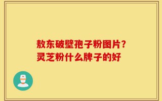 敖东破壁孢子粉图片？灵芝粉什么牌子的好