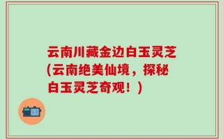 云南川藏金边白玉灵芝(云南绝美仙境，探秘白玉灵芝奇观！)