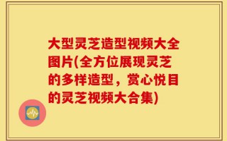 大型灵芝造型视频大全图片(全方位展现灵芝的多样造型，赏心悦目的灵芝视频大合集)