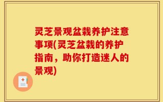 灵芝景观盆栽养护注意事项(灵芝盆栽的养护指南，助你打造迷人的景观)