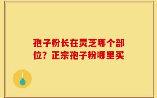 孢子粉长在灵芝哪个部位？正宗孢子粉哪里买