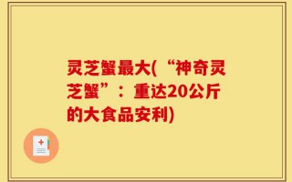 灵芝蟹最大(“神奇灵芝蟹”：重达20公斤的大食品安利)