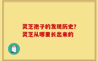 灵芝孢子的发现历史？灵芝从哪里长出来的