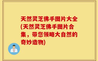 天然灵芝佛手图片大全(天然灵芝佛手图片合集，带您领略大自然的奇妙造物)