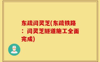 东疏闫灵芝(东疏铁路：闫灵芝隧道施工全面完成)
