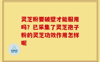 灵芝粉要破壁才能服用吗？已采集了灵芝孢子粉的灵芝功效作用怎样呢