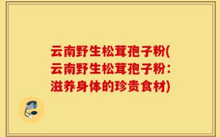 云南野生松茸孢子粉(云南野生松茸孢子粉：滋养身体的珍贵食材)
