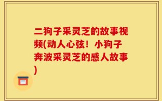 二狗子采灵芝的故事视频(动人心弦！小狗子奔波采灵芝的感人故事)