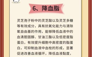 破璧灵芝孢子粉的功效与作用是什么？分享三大灵芝孢子粉的功效与作用