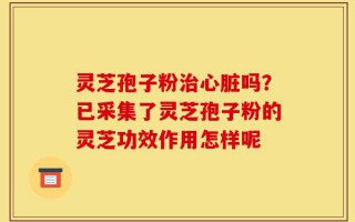 灵芝孢子粉治心脏吗？已采集了灵芝孢子粉的灵芝功效作用怎样呢
