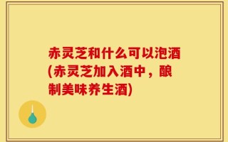 赤灵芝和什么可以泡酒(赤灵芝加入酒中，酿制美味养生酒)