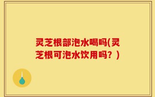 灵芝根部泡水喝吗(灵芝根可泡水饮用吗？)