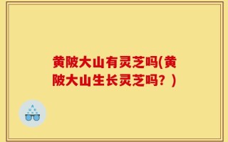 黄陂大山有灵芝吗(黄陂大山生长灵芝吗？)