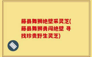 藤县舞狮绝壁采灵芝(藤县舞狮勇闯绝壁 寻找珍贵野生灵芝)
