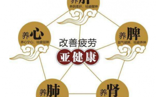 坚持吃灵芝孢子粉，提高免疫力身体棒