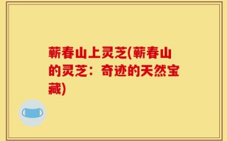 蕲春山上灵芝(蕲春山的灵芝：奇迹的天然宝藏)
