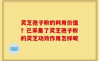灵芝孢子粉的利用价值？已采集了灵芝孢子粉的灵芝功效作用怎样呢