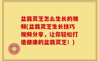 盆栽灵芝怎么生长的视频(盆栽灵芝生长技巧视频分享，让你轻松打造健康的盆栽灵芝！)