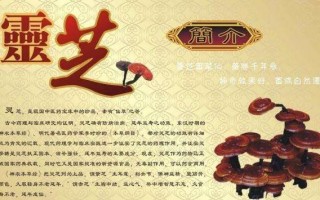 灵芝孢子粉有什么作用？吃多久有效果