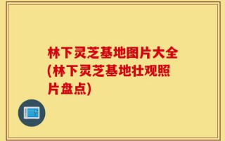 林下灵芝基地图片大全(林下灵芝基地壮观照片盘点)