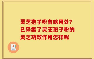 灵芝孢子粉有啥用处？已采集了灵芝孢子粉的灵芝功效作用怎样呢