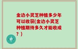 金边小灵芝种植多少年可以收获(金边小灵芝种植期待多久才能收成？)