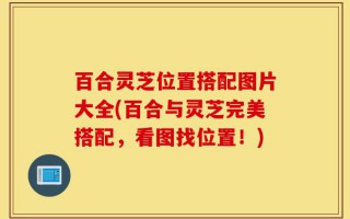 百合灵芝位置搭配图片大全(百合与灵芝完美搭配，看图找位置！)