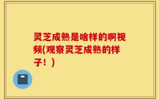 灵芝成熟是啥样的啊视频(观察灵芝成熟的样子！)